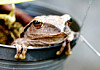 JFrog Artifactory zero-days linked to OpenAI model sandbox escape