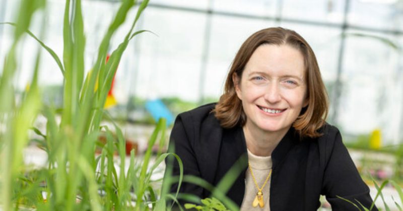 Moa Technology Series C brings in £22.2M for herbicide discovery