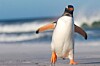 Linus Torvalds says AI-reviewed fixes are making larger Linux updates routine